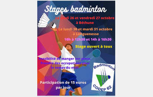 stage badminton 